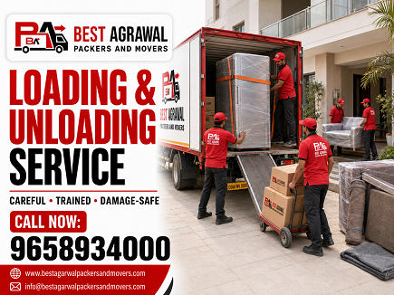 Loading & Unloading in Raipur